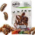 Probugs Reptiles Set - zestaw robaków dla średnich gadów
