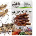 Probugs Reptiles Set - zestaw robaków dla średnich gadów