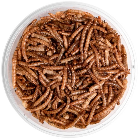 Terrario Repti Bites Mealworms 500ml - larwy mącznika suszone Terrario Repti Bites Mealworms 500ml - larwy mącznika suszone