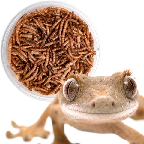 Terrario Repti Bites Mealworms 500ml - larwy mącznika suszone Terrario Repti Bites Mealworms 500ml - larwy mącznika suszone