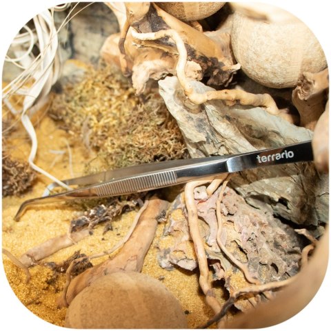 Terrario ViperTweez Bent L - pęseta zagięta 30cm