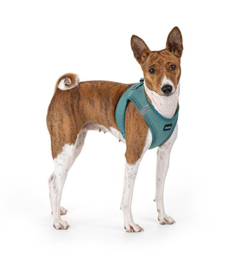 Happet Puszorek Air Comfort L morski | Wygodne szelki dla psa lub kota