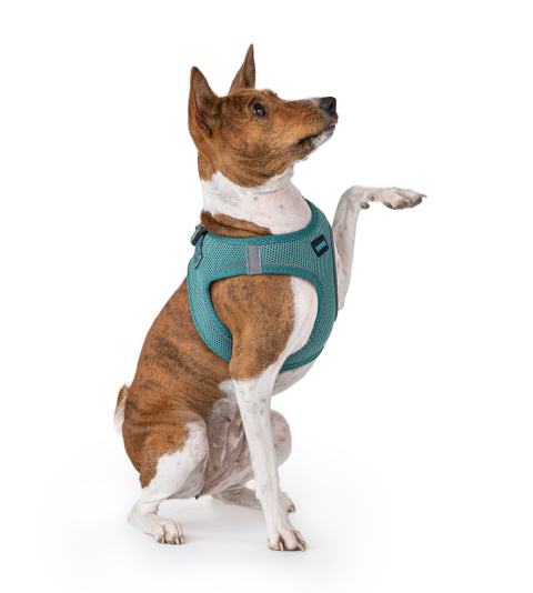 Happet Puszorek Air Comfort XS morski | Wygodne szelki dla psa lub kota