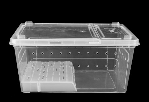 BREEDING BOX 32 cm Pojemnik hodowlany z platformą – dla gadów i płazów