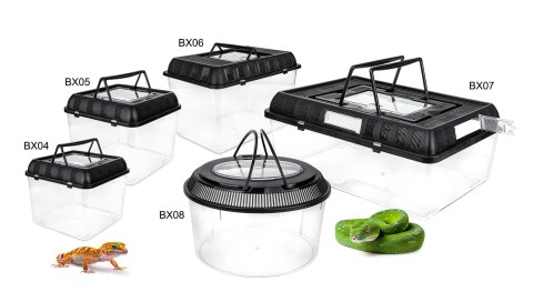 TERRA BOX 33 cm Pojemnik hodowlany – dla gadów, pajęczaków, owadów