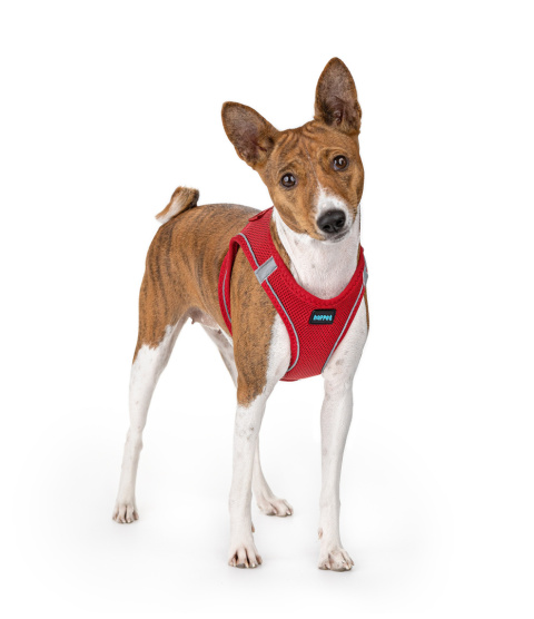 Happet puszorek Air Comfort M – dla psa 6–9 kg lub kota, czerwony