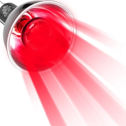 Terrario Biosphere Light - oprawka na żarówki grzewcze