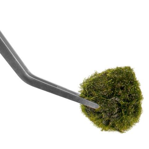 Kruger Meier pęseta zagięta 38 cm – stal nierdzewna, precyzyjna