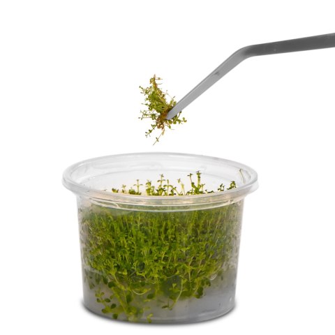 Kruger Meier pęseta zagięta 48 cm – stal nierdzewna, do dużych akwariów