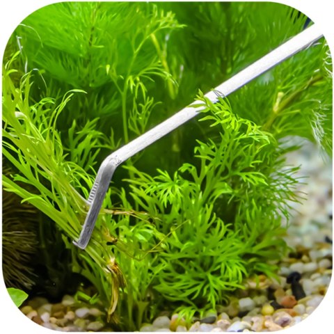 Kruger Meier pęseta zagięta 48 cm – stal nierdzewna, do dużych akwariów