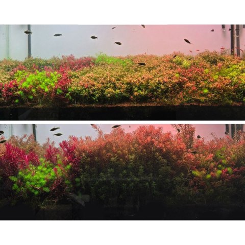 Neo Fluid NoCO2 300ml - kompletny nawóz akwarium bez CO2