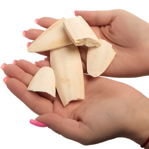 MediSepia Cuttlebone Cracks - sepia w kawałkach