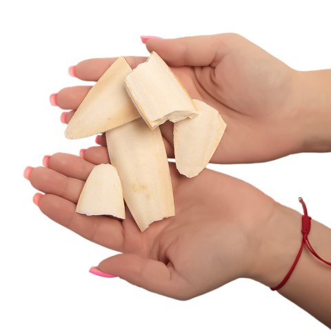 MediSepia Cuttlebone Cracks - sepia w kawałkach