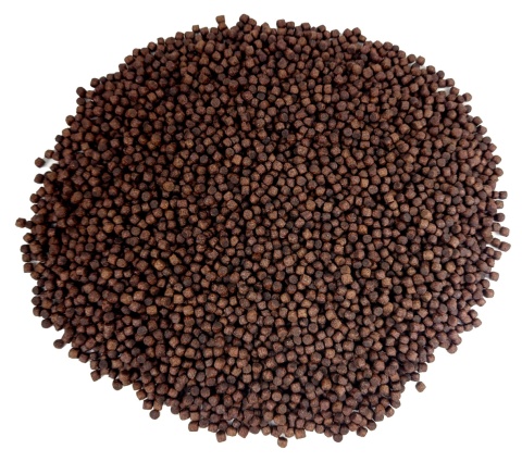 Glopex Koi Premium 6,0 mm 1kg, pływający granulat pokarm dla ryb w oczku