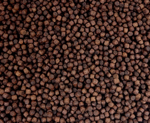 Glopex Koi Premium 6,0 mm 1kg, pływający granulat pokarm dla ryb w oczku