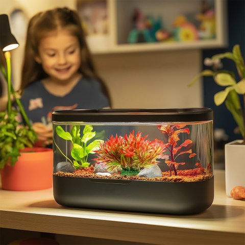 Kruger Meier Plant Sunset Grass - roślinka sztuczna