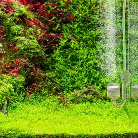 Aquario Professional 2.0 CO2 – zestaw z elektrozaworem i butlą 2 l