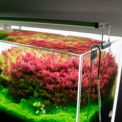 Chihiros B-Series B80 LED Light with Commander - lampa led sterowana aplikacją 80-100cm