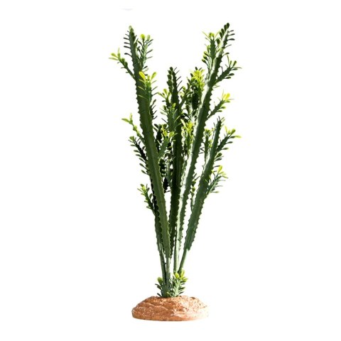 HOBBY Euphorbia L 25x10x46 cm dekoracja do terrarium (37000)