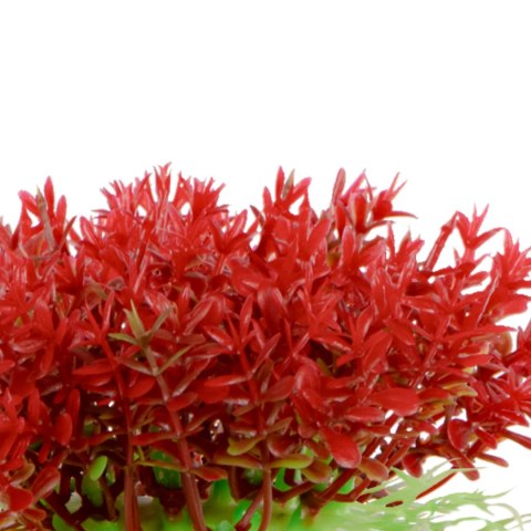 Kruger Meier Plant Mini Flame - roślinka sztuczna