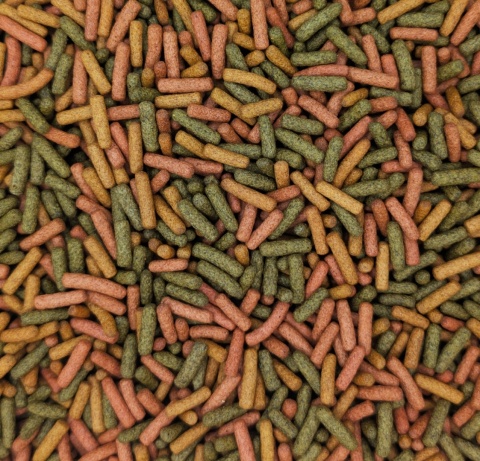 Tropical Biorept W 100ml/30g – pokarm dla żółwi wodnych i wodno-lądowych