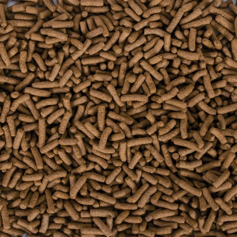 Tropical Biorept Supreme Adult 100ml/28g – pokarm z probiotykiem dla żółwi