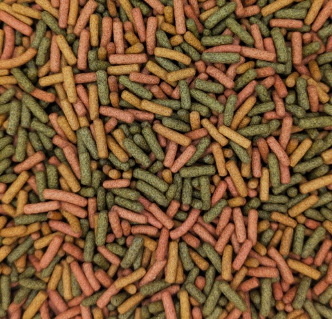 Tropical Biorept W 5L/1,5kg – pokarm dla dorosłych żółwi wodnych