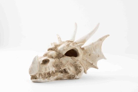 R206 ozdoba terrarium czaszka smok