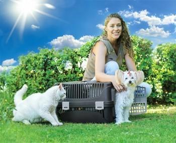 Transporter Molly M beżowy&brązowy