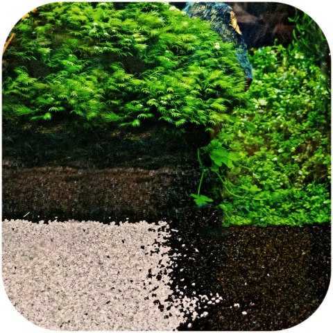 Eco Plant Black River 1 kg – czarny żwirek akwarystyczny 2–4 mm, antyglonowy
