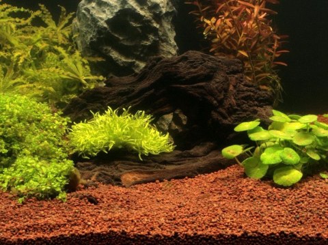 JBL Manado 5 l – naturalne podłoże akwarystyczne dla roślin 1–2 mm