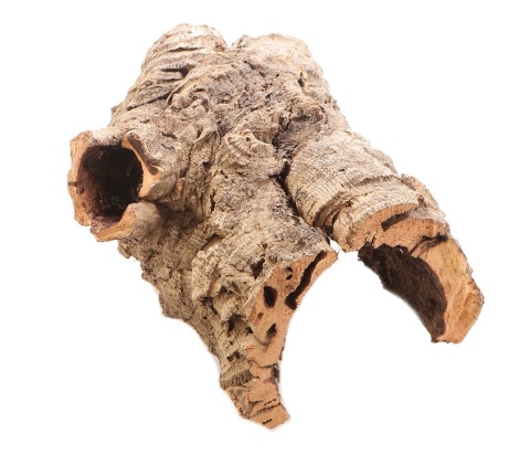 Kora dębu korkowego – naturalne płaty, tuby i mostki do terrarium