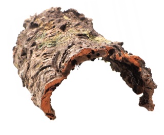 Kora dębu korkowego – naturalne płaty, tuby i mostki do terrarium