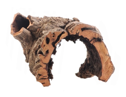 Kora dębu korkowego – naturalne płaty, tuby i mostki do terrarium