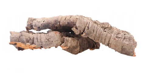 Kora dębu korkowego – naturalne płaty, tuby i mostki do terrarium