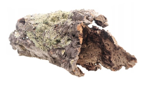 Kora dębu korkowego – naturalne płaty, tuby i mostki do terrarium