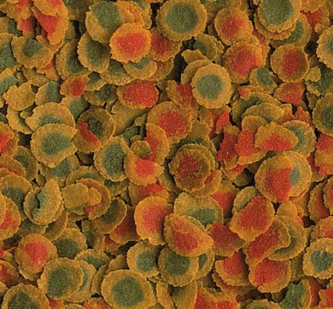 Tetra Pro Energy Multi-Crisps 300ml - wysokoenergetyczny pokarm dla ryb