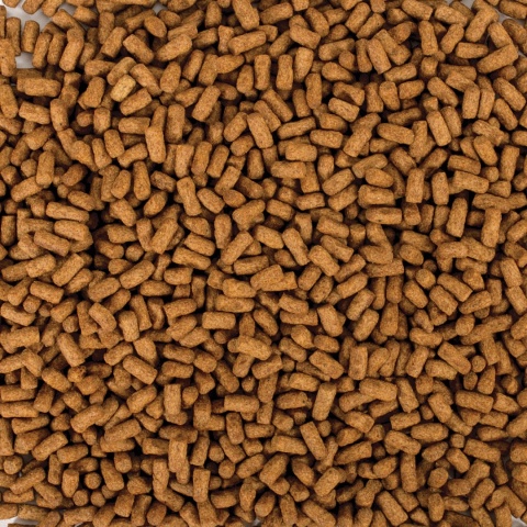 Tropical Biorept Supreme Young 100ml/36g – pokarm dla młodych żółwi wodnych