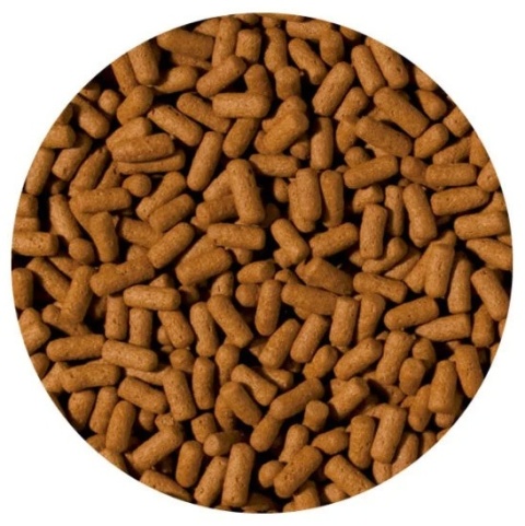 Tropical Cichlid & Arowana Large Sticks wiadro 10l/3kg karma dla arowan