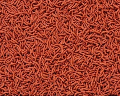 Tropical Cichlid & Arowana Medium Sticks wiadro 10l/3,6kg karma dla arowan