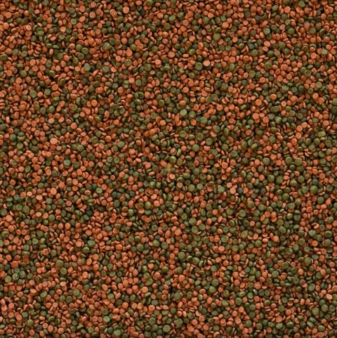 Tropical Cichlid Gran wiadro 10l/5,3kg - granulowany pokarm dla pielęgnic