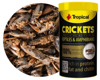 Tropical Crickets 250ml/25g – suszone świerszcze dla gadów i ryb