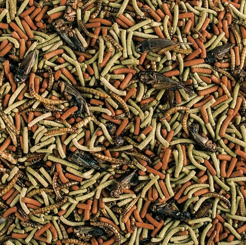 Tropical Reptiles Carnivore 250ml/65g – pokarm dla gadów mięsożernych