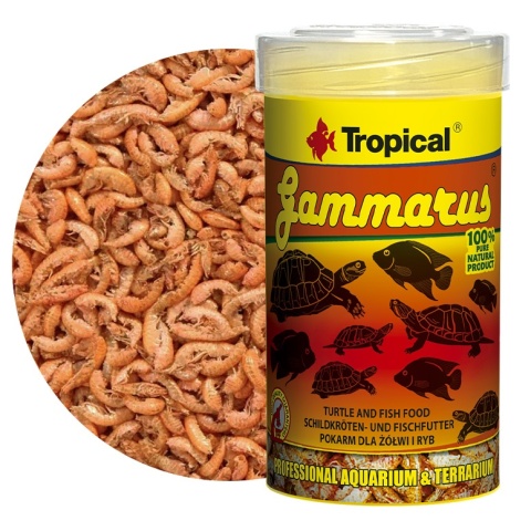 Tropical Gammarus 100ml/12g – suszone kiełże dla ryb i żółwi