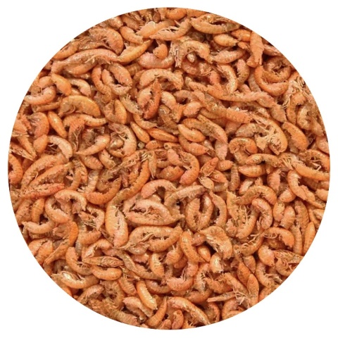 Tropical Gammarus 250ml/30g – suszone kiełże dla ryb i żółwi