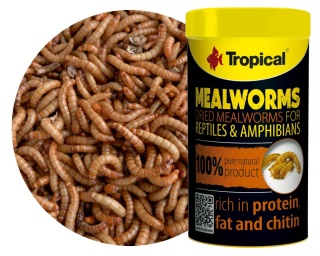 Tropical Meal Worms 100ml/13g – suszone larwy mącznika młynarka dla gadów