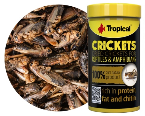 Tropical Crickets 100ml/10g – suszone świerszcze dla gadów i ryb