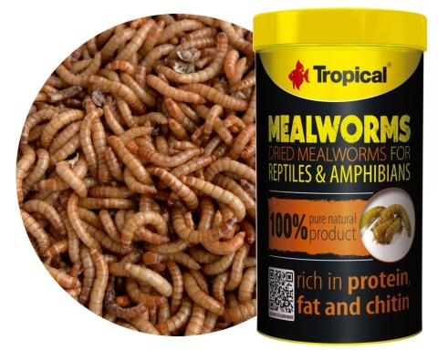 Tropical Meal Worms 250ml/30g – suszone larwy mącznika młynarka dla gadów