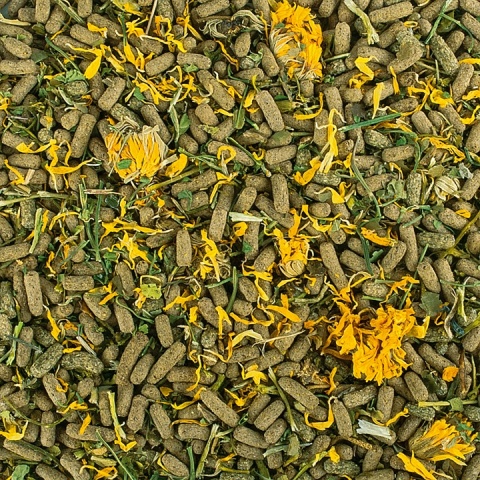 Tropical Reptiles Herbivore 250ml/65g – pokarm dla gadów roślinożernych