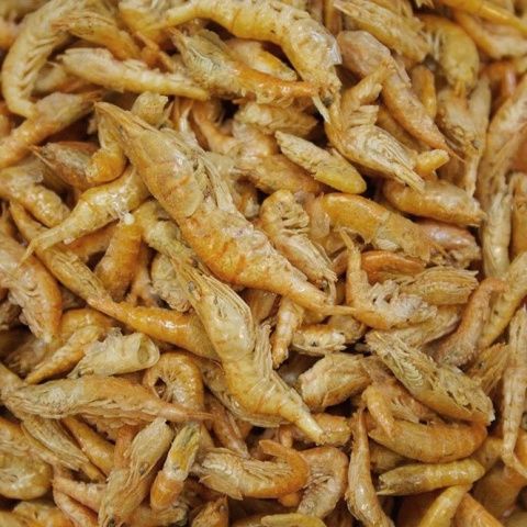 Tropical River Shrimps 250ml/40g – suszone krewetki dla gadów i płazów